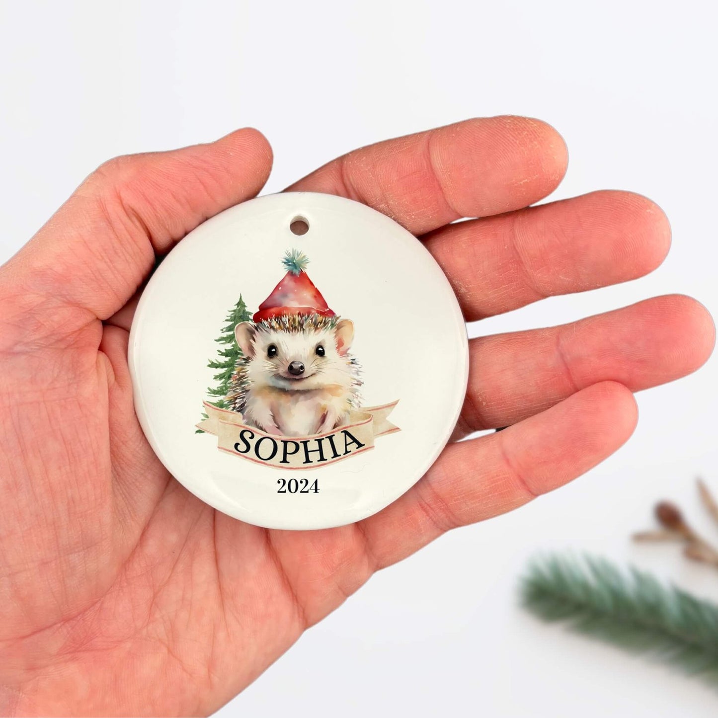 Personalized Hedgehog Ornament image 3